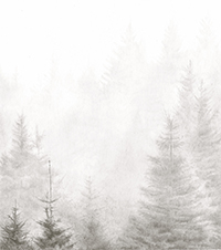 12 Days image02-small Artwork by Paul Newman