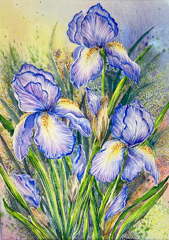linda-mannion Frome Art Society